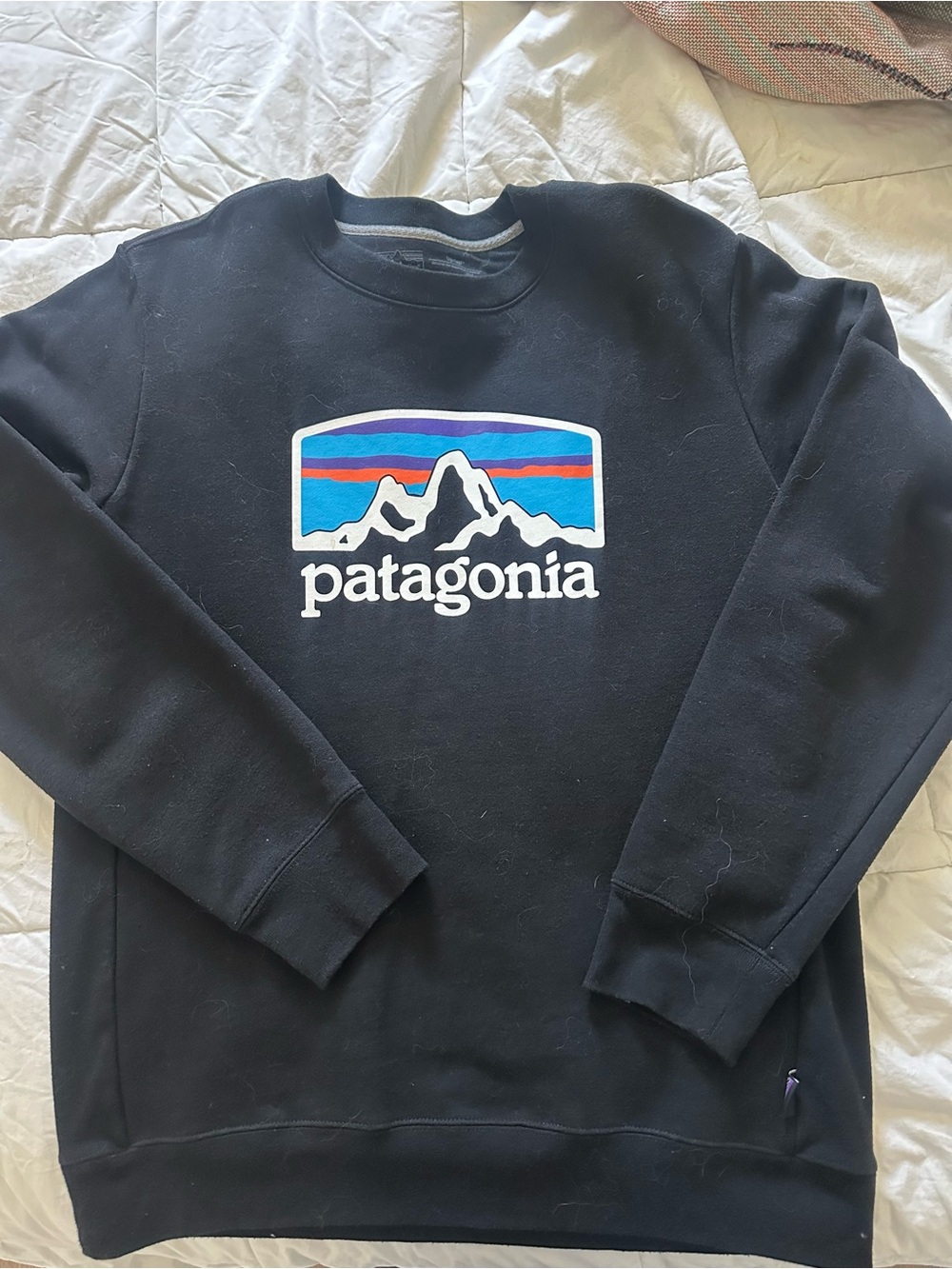 Patagonia Black Crewneck Sweatshirt with Blue and Red Mountain Logo
